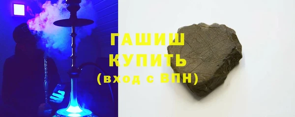прущие грибы Медногорск