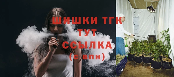 тгк Магас