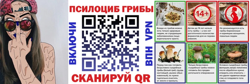 Галлюциногенные грибы Magic Shrooms  где купить наркоту  Приморско-Ахтарск 