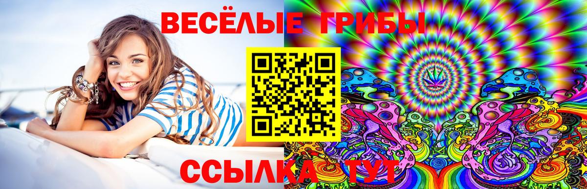 Псилоцибиновые грибы мухоморы Приморско-Ахтарск