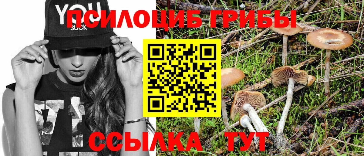 Приморско-Ахтарск  Псилоцибиновые грибы Psilocybe  Вход с VPN  Галлюциногенные грибы мухоморы 