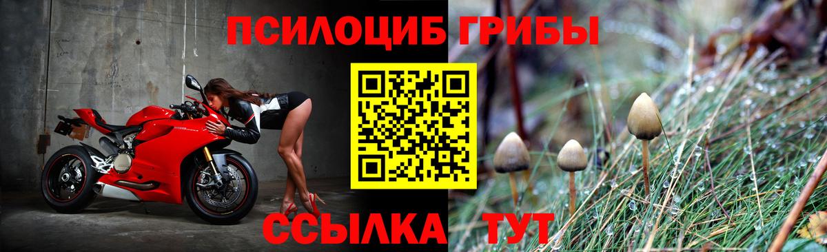 Меф мяу мяу Приморско-Ахтарск